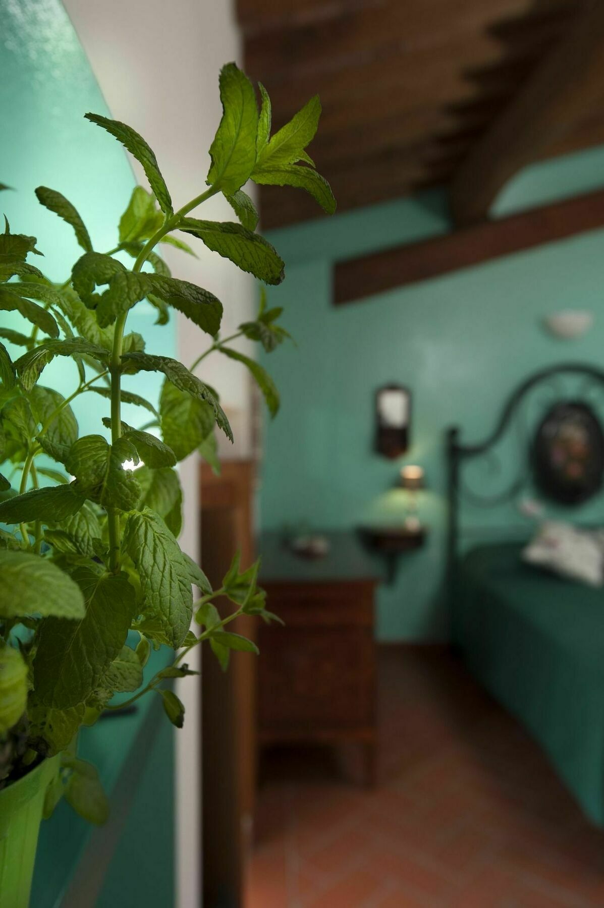 Antico Granaione Bed & Breakfast ราโปลาโนแตร์เม ภายนอก รูปภาพ