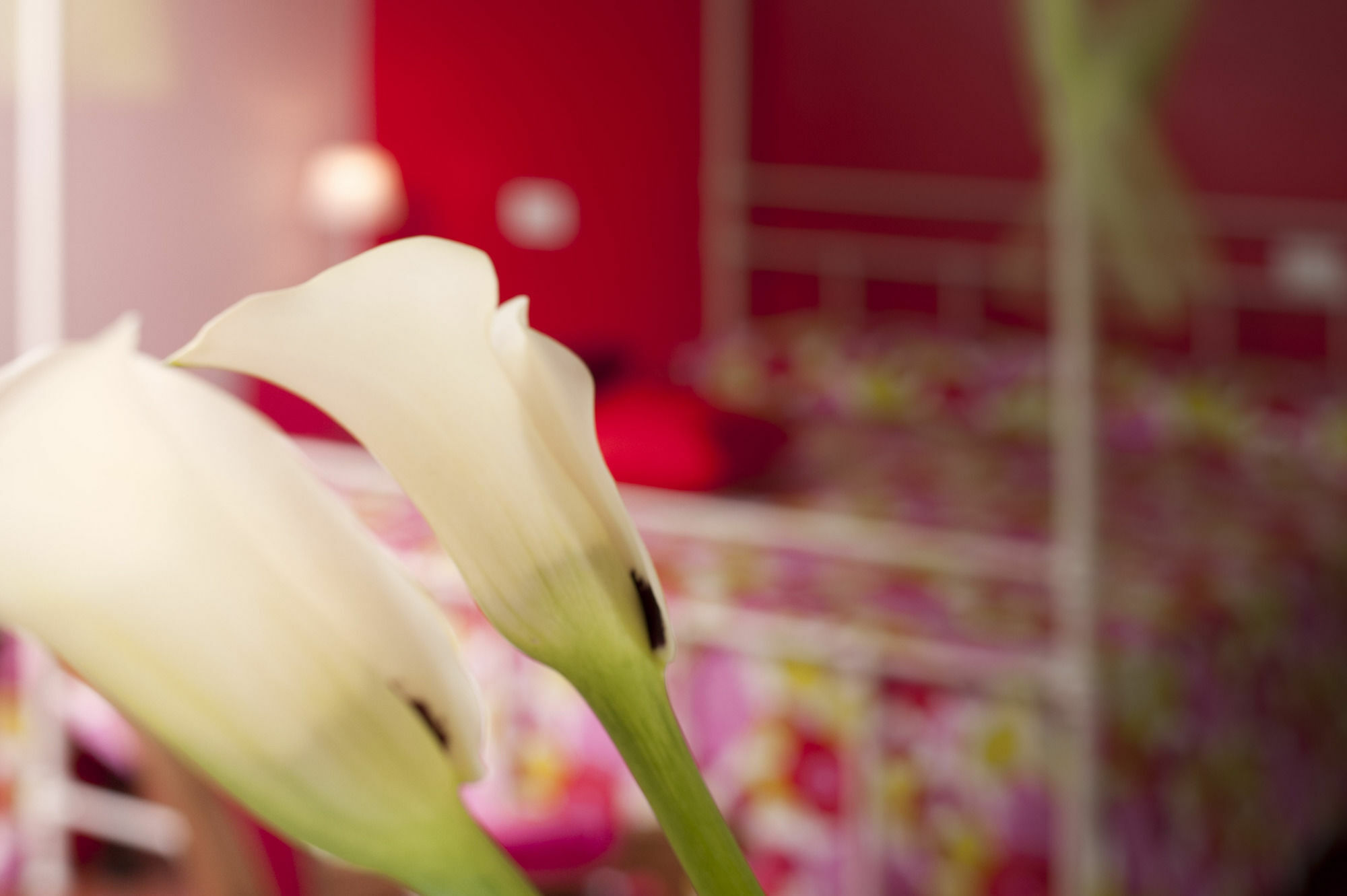 Antico Granaione Bed & Breakfast ราโปลาโนแตร์เม ภายนอก รูปภาพ